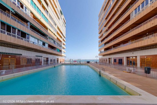 Apartamento en venta en Torrevieja (Alicante)