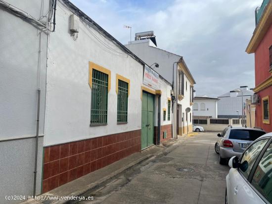 OPORTUNIDAD en San Rafael de la Albaida para construcción de 1,2 viviendas unifamiliares - CORDOBA