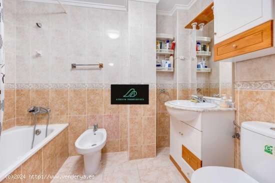 Apartamento en alquiler en Torrevieja (Alicante)