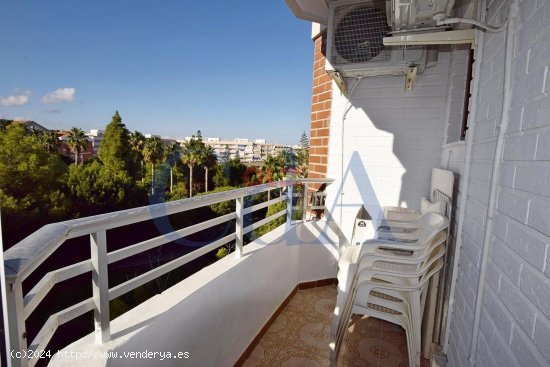 Piso en venta en Torrevieja (Alicante)