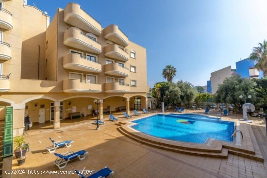  Apartamento en alquiler en Orihuela (Alicante) 