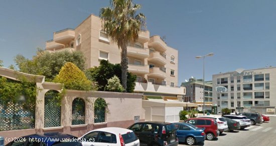 Apartamento en alquiler en Orihuela (Alicante)