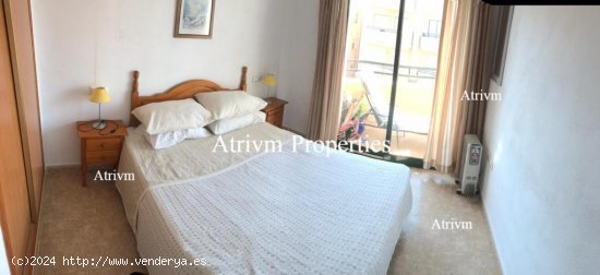 Apartamento en alquiler en Orihuela (Alicante)