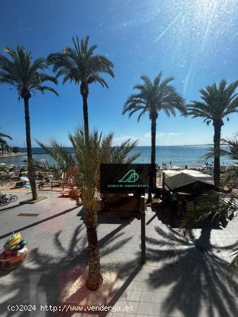 Apartamento en alquiler en Torrevieja (Alicante)