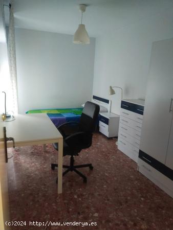 ¡Alquiler de 2 Habitaciones para Estudiantes en el Centro de Murcia! - MURCIA