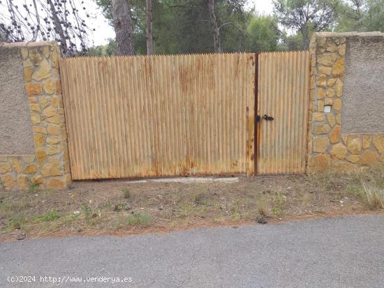 VENTA PÁRCELA URBANA EN URBANIZACIÓN LA CARRASCA,EN NÁQUERA.EXCELENTE OPORTUNIDAD! - VALENCIA