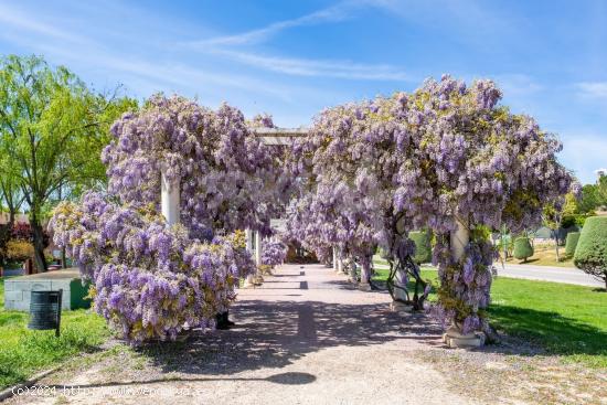 Se Vende en Las Rozas de Madrid - MADRID