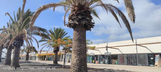 Local disponible en Galería Comercial El Bulevar, Costa Teguise - Teguise