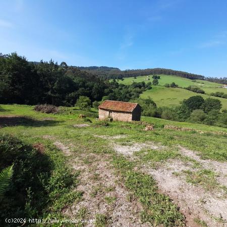 Casa de piedra con terreno para reformar en Penagos 🌳🌳 - CANTABRIA