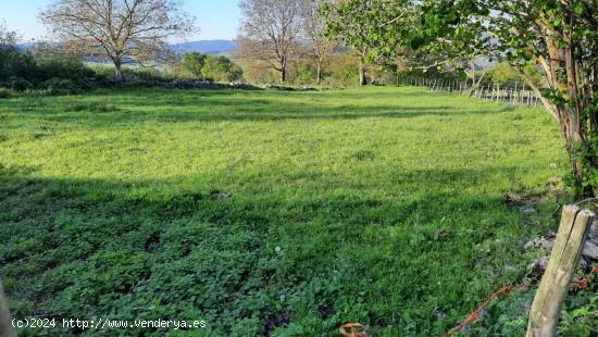 Terreno para construir vivienda en el pueblo de Luengas, junto a Santiago de Tudela - BURGOS