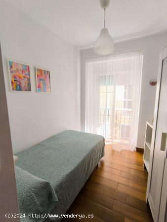 APARTAMENTO REFORMADO CENTRO CADIZ - CADIZ