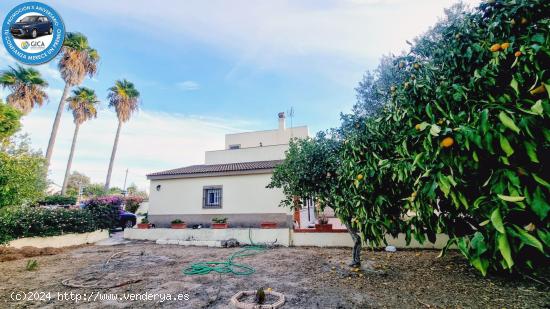  Chalet de 4 dormitorios y piscina en Pago del Humo - CADIZ 