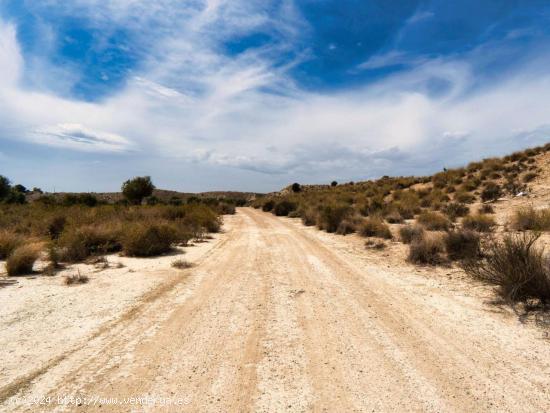 TERRENO URBANIZABLE EN VENTA EN FORTUNA - MURCIA