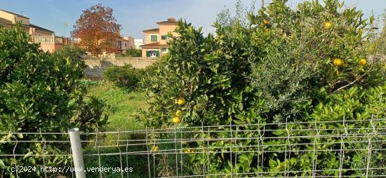 TERRENO URBANO URBANIZABLE EN SON SARDINA. (Carretera de Sóller) - BALEARES