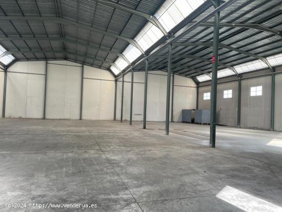 NAVE INDUSTRIAL  DE 1650M2 - MURCIA