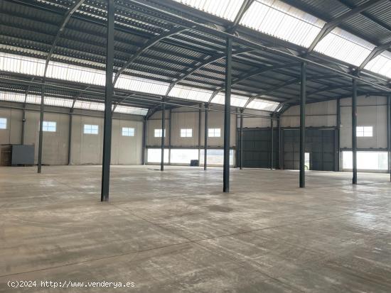 NAVE INDUSTRIAL  DE 1650M2 - MURCIA