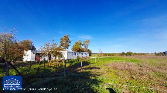  ZONA LAS PACHECAS, PARCELA RÚSTICA INDIVISIBLE 5.000M², PISCINA, - CADIZ 