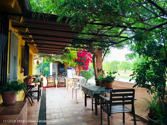 🌄🏡 ESPECTACULAR CASA DE CAMPO ENTRE CORVERA Y VALLADOLISES 🏡🌄 - MURCIA