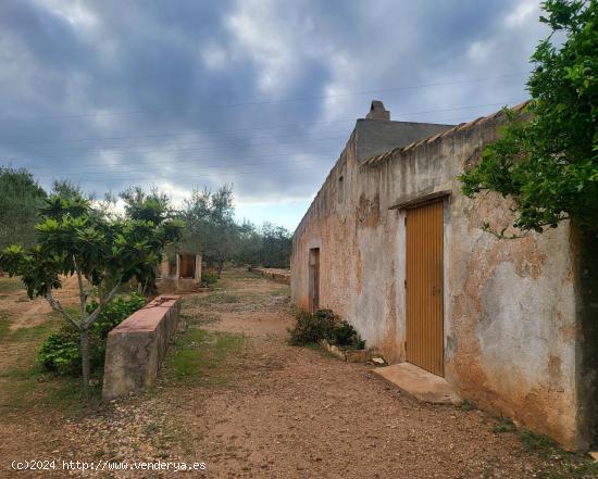 Finca Rústica de 50.000 M2, con caseta típica más almacén y agua potable conectada - TARRAGONA