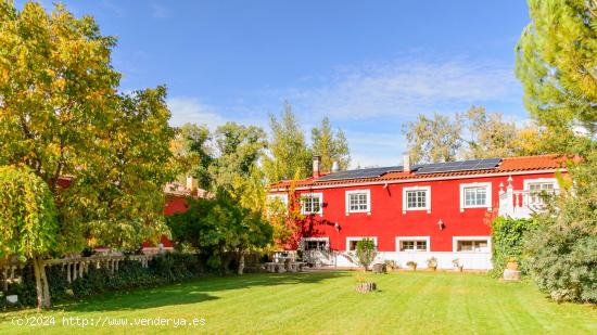 Se vende Bodega de Vino, en finca con Vivienda - VALLADOLID