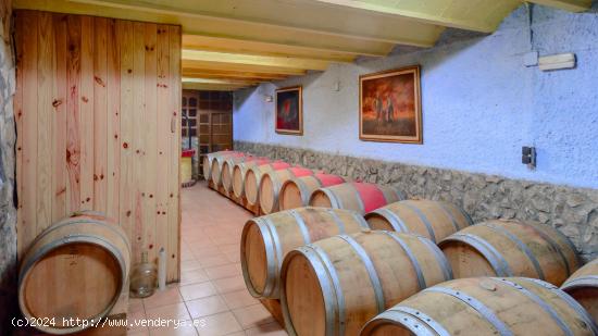 Se vende Bodega de Vino, en finca con Vivienda - VALLADOLID