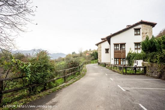 DOS VIVIENDAS - CON NEGOCIO DE CASA RURAL Y TERRENO DE 4.500m2 - ASTURIAS