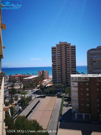 Piso muy cuidado en el corazón de la playa de San Juan - ALICANTE