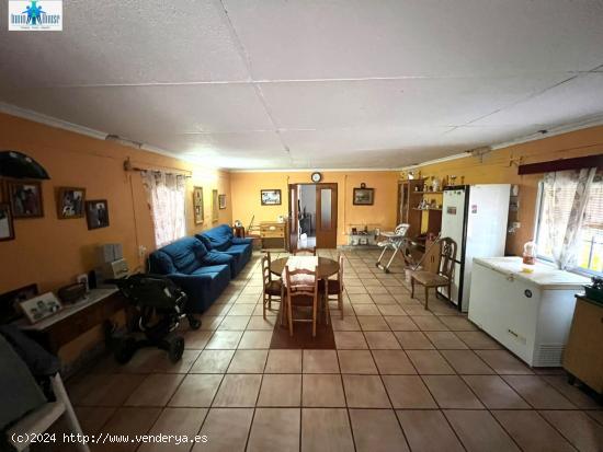 SE VENDE TERRENO DE 2900 METROS CON 3 PROPIEDADES ( CASAS VIEJAS ) - ALBACETE