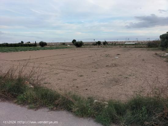 TERRENO RUSTICO - ALICANTE