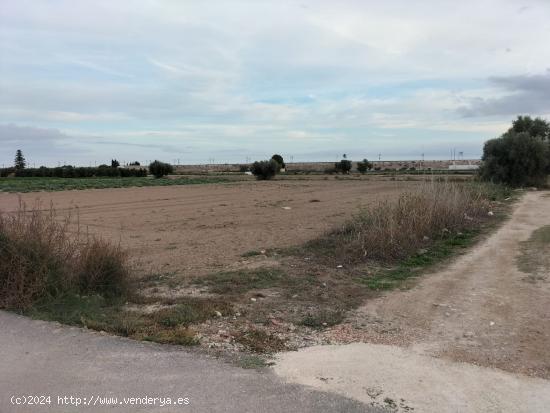 TERRENO RUSTICO - ALICANTE