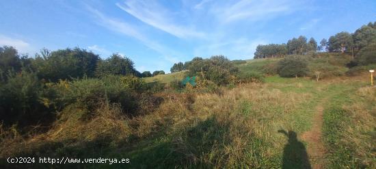 Se Vende Terreno Rústico - CANTABRIA