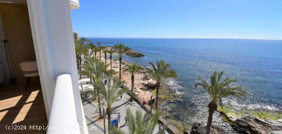  Apartamento en venta en Torrevieja (Alicante) 