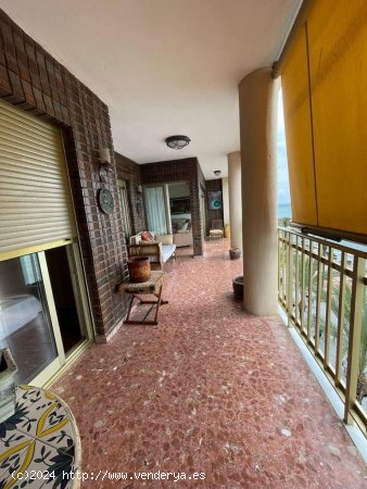 Apartamento en venta en Torrevieja (Alicante)