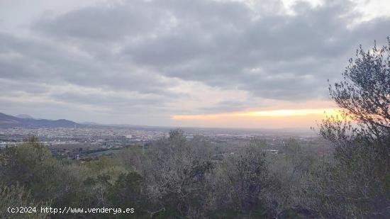  Solar en altura con vista despejada al pueblo de Manacor - BALEARES 