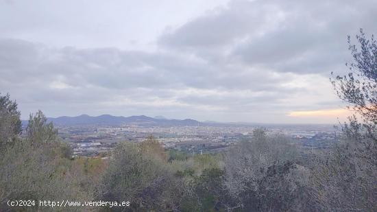 Solar en altura con vista despejada al pueblo de Manacor - BALEARES