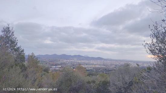 Solar en altura con vista despejada al pueblo de Manacor - BALEARES