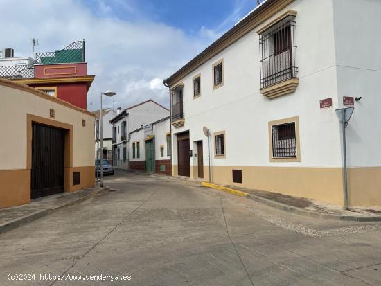  OPORTUNIDAD en San Rafael de la Albaida para construcción de 1,2 viviendas unifamiliares - CORDOBA 