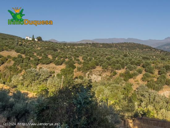 Terreno en venta en El Fargue, Granada. - GRANADA