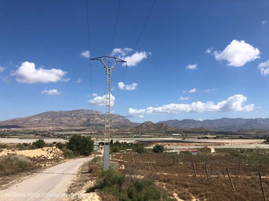 Terreno en Monforte del Cid - ALICANTE