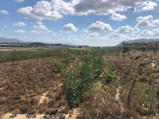 Terreno en Monforte del Cid - ALICANTE