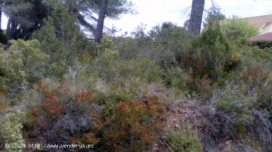 TERRENO DE 1000M² EN LA ZONA RESIDENCIAL MAS BERMELL, TARRAGONA - TARRAGONA