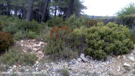 TERRENO DE 1000M² EN LA ZONA RESIDENCIAL MAS BERMELL, TARRAGONA - TARRAGONA