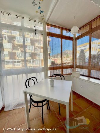  Apartamento en alquiler en Benalmádena (Málaga) 