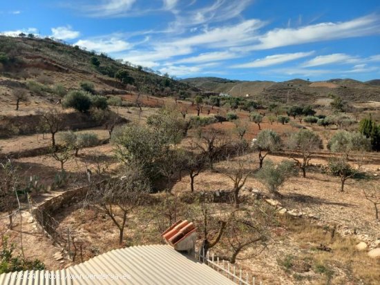 Finca en venta en Lubrín (Almería)