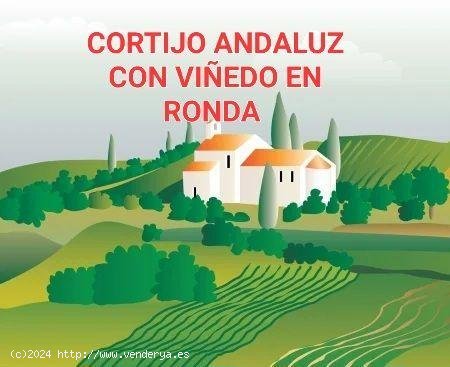  Chalet en venta en Ronda (Málaga) 