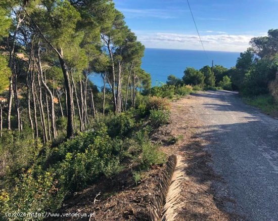 Parcela en venta en Jávea (Alicante)