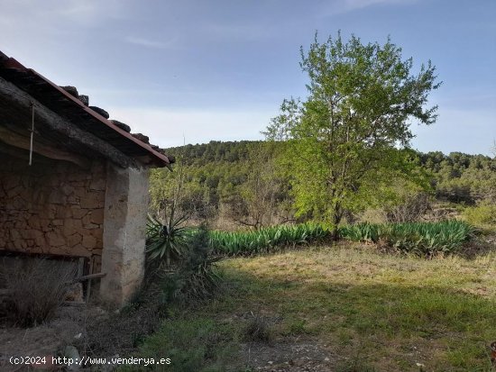 Suelo rústico en venta  en Horta de Sant Joan - Tarragona