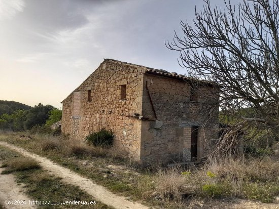 Suelo rústico en venta  en Horta de Sant Joan - Tarragona