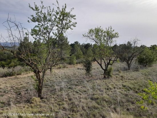 Suelo rústico en venta  en Horta de Sant Joan - Tarragona