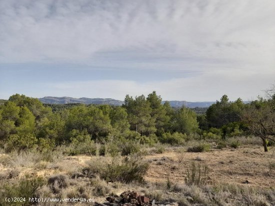 Suelo rústico en venta  en Horta de Sant Joan - Tarragona